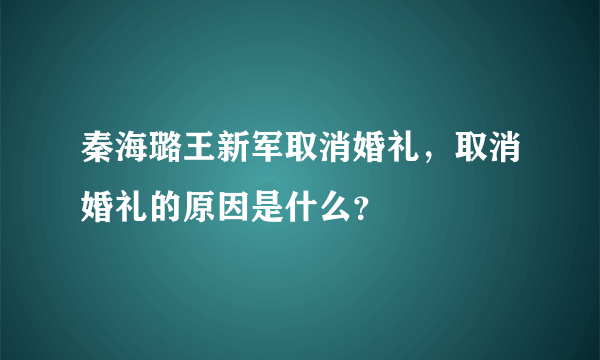 秦海璐王新军取消婚礼，取消婚礼的原因是什么？