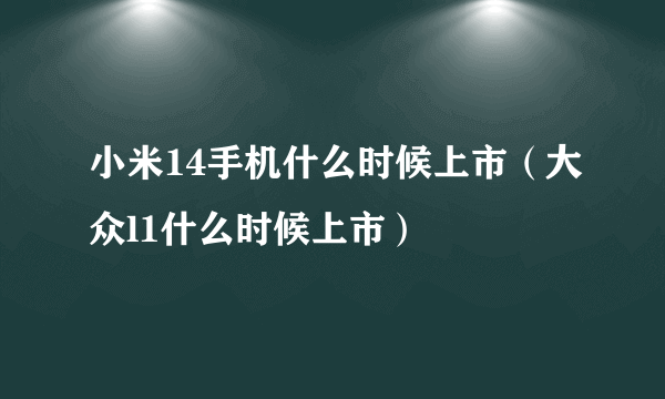 小米14手机什么时候上市（大众l1什么时候上市）