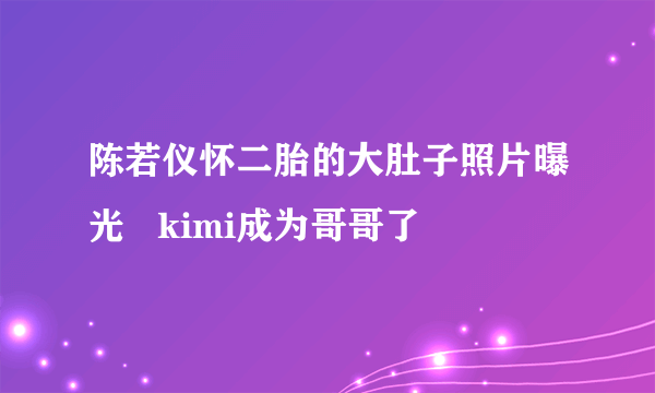 陈若仪怀二胎的大肚子照片曝光   kimi成为哥哥了