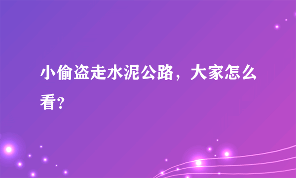 小偷盗走水泥公路，大家怎么看？