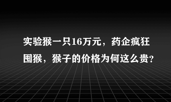 实验猴一只16万元，药企疯狂囤猴，猴子的价格为何这么贵？