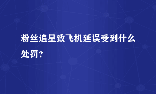 粉丝追星致飞机延误受到什么处罚？