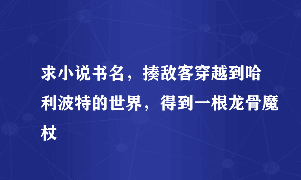 求小说书名，揍敌客穿越到哈利波特的世界，得到一根龙骨魔杖