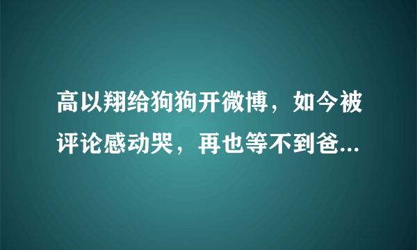 高以翔给狗狗开微博，如今被评论感动哭，再也等不到爸爸回来了