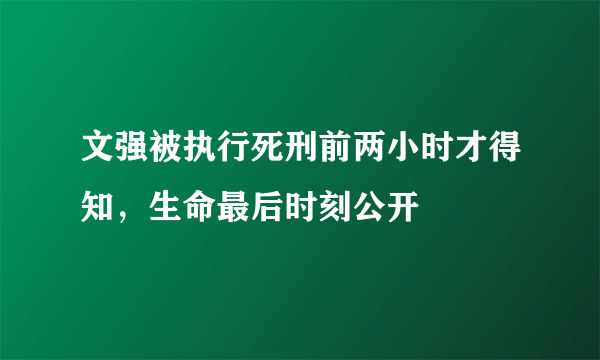 文强被执行死刑前两小时才得知，生命最后时刻公开