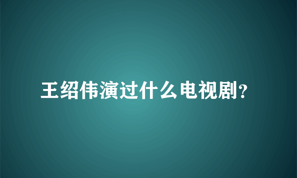 王绍伟演过什么电视剧？