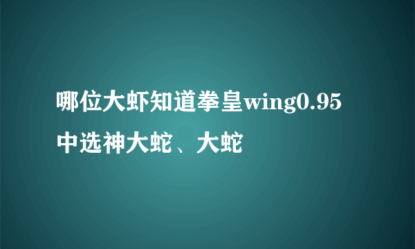 哪位大虾知道拳皇wing0.95中选神大蛇、大蛇