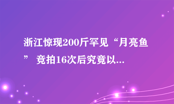 浙江惊现200斤罕见“月亮鱼” 竞拍16次后究竟以什么价格卖出？