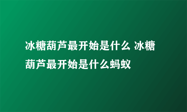 冰糖葫芦最开始是什么 冰糖葫芦最开始是什么蚂蚁