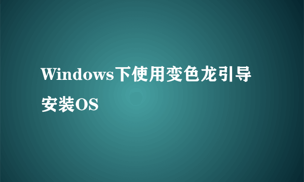 Windows下使用变色龙引导安装OS