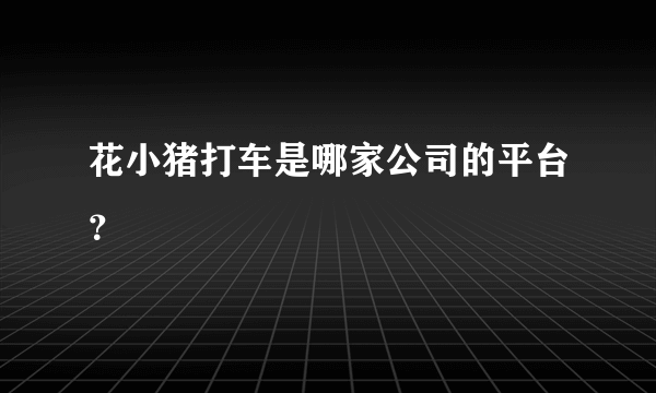 花小猪打车是哪家公司的平台？