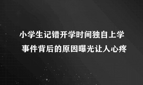 小学生记错开学时间独自上学 事件背后的原因曝光让人心疼