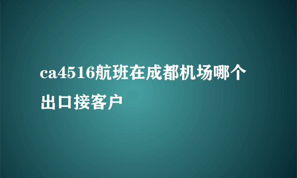 ca4516航班在成都机场哪个出口接客户