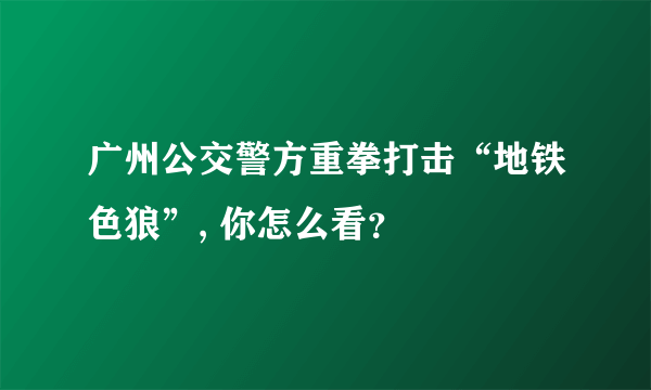 广州公交警方重拳打击“地铁色狼”, 你怎么看？