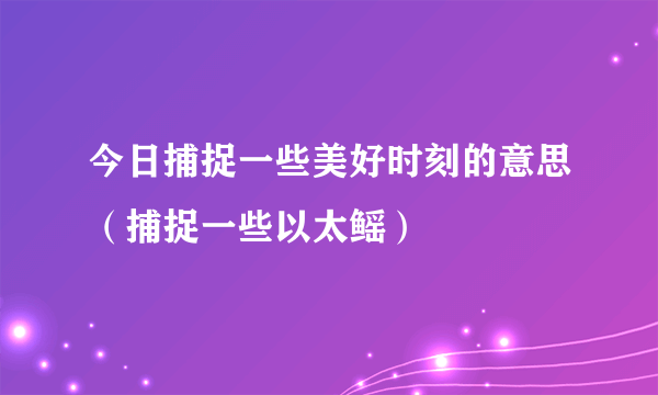 今日捕捉一些美好时刻的意思（捕捉一些以太鳐）