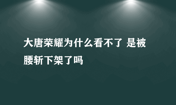 大唐荣耀为什么看不了 是被腰斩下架了吗