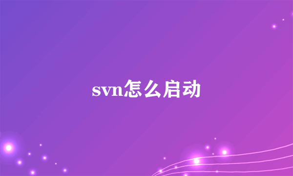 svn怎么启动