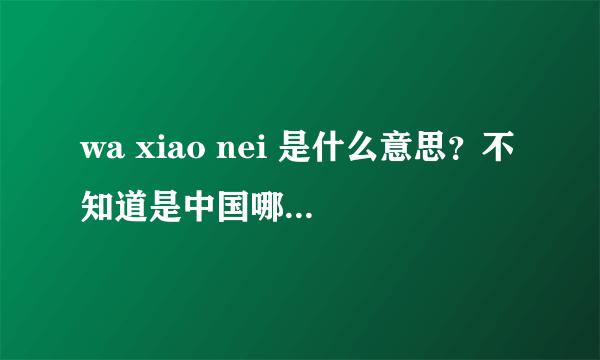 wa xiao nei 是什么意思？不知道是中国哪个地方的方言