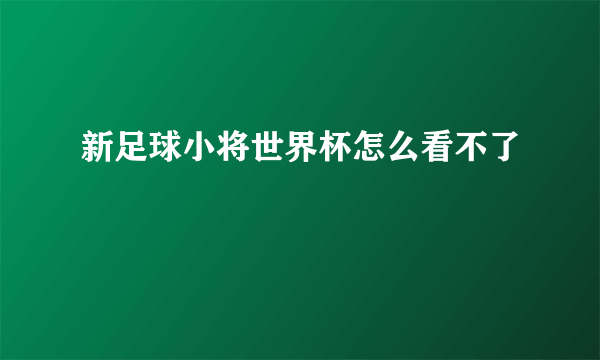 新足球小将世界杯怎么看不了