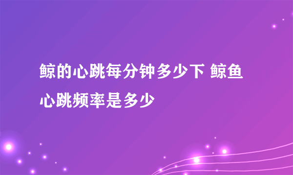 鲸的心跳每分钟多少下 鲸鱼心跳频率是多少