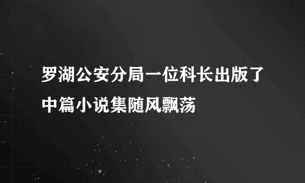 罗湖公安分局一位科长出版了中篇小说集随风飘荡