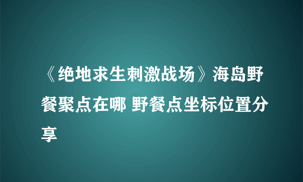 《绝地求生刺激战场》海岛野餐聚点在哪 野餐点坐标位置分享