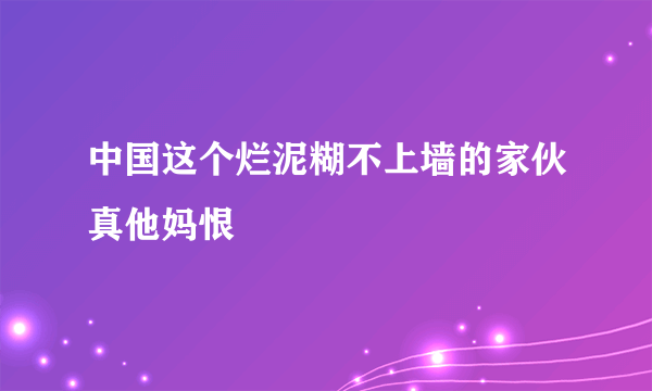 中国这个烂泥糊不上墙的家伙真他妈恨