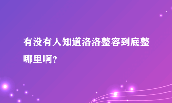 有没有人知道洛洛整容到底整哪里啊？