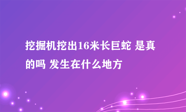 挖掘机挖出16米长巨蛇 是真的吗 发生在什么地方