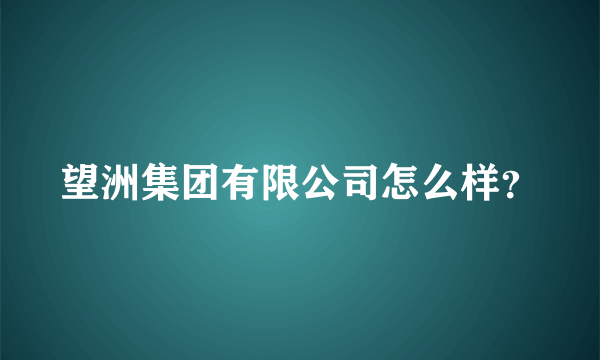 望洲集团有限公司怎么样？