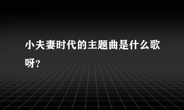 小夫妻时代的主题曲是什么歌呀？