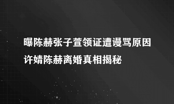 曝陈赫张子萱领证遭谩骂原因许婧陈赫离婚真相揭秘