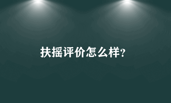 扶摇评价怎么样？