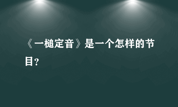 《一槌定音》是一个怎样的节目？