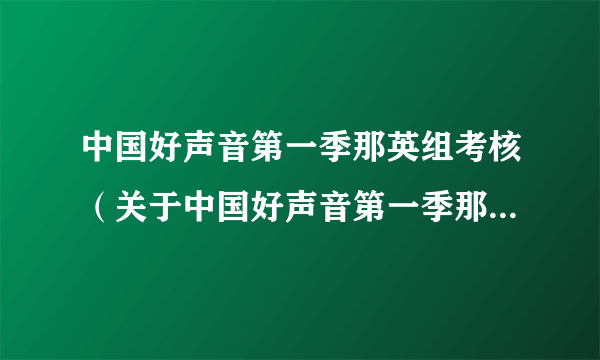 中国好声音第一季那英组考核（关于中国好声音第一季那英组考核的介绍）