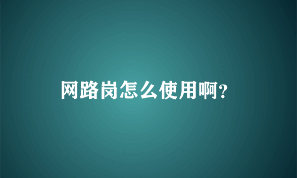 网路岗怎么使用啊？