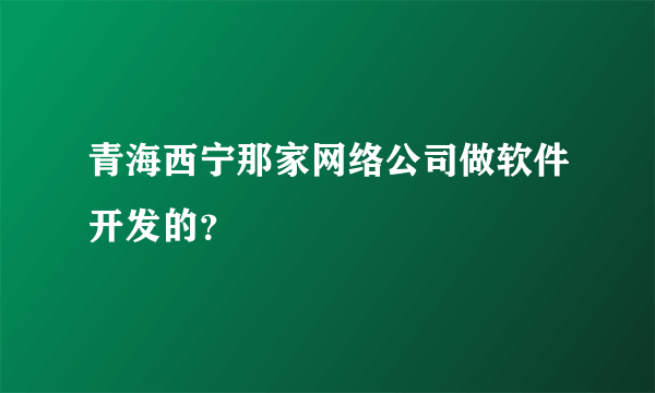 青海西宁那家网络公司做软件开发的？