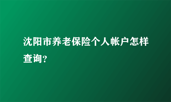 沈阳市养老保险个人帐户怎样查询？