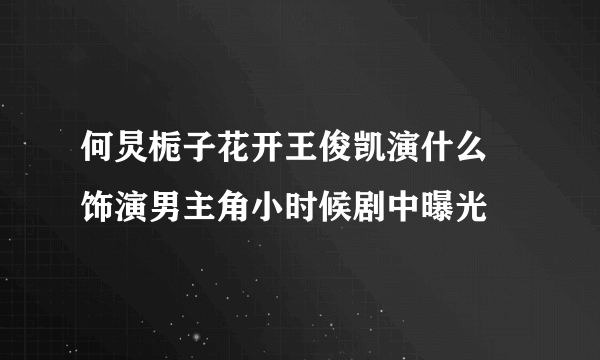 何炅栀子花开王俊凯演什么 饰演男主角小时候剧中曝光