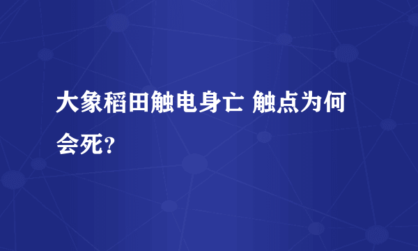 大象稻田触电身亡 触点为何会死？