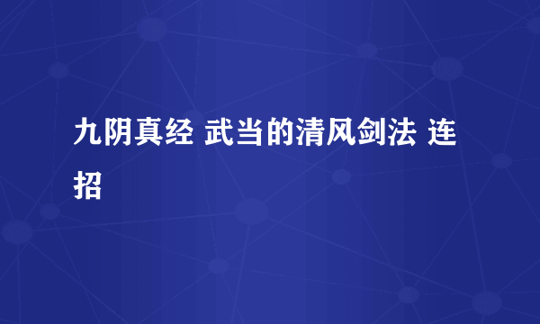 九阴真经 武当的清风剑法 连招