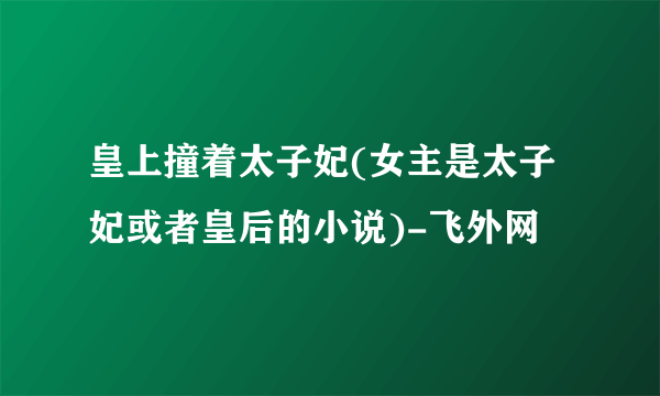 皇上撞着太子妃(女主是太子妃或者皇后的小说)-飞外网