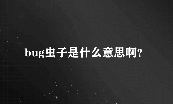 bug虫子是什么意思啊？