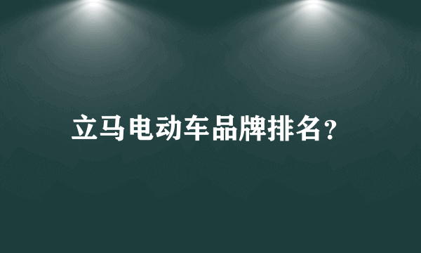 立马电动车品牌排名？