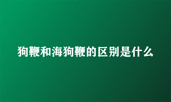 狗鞭和海狗鞭的区别是什么