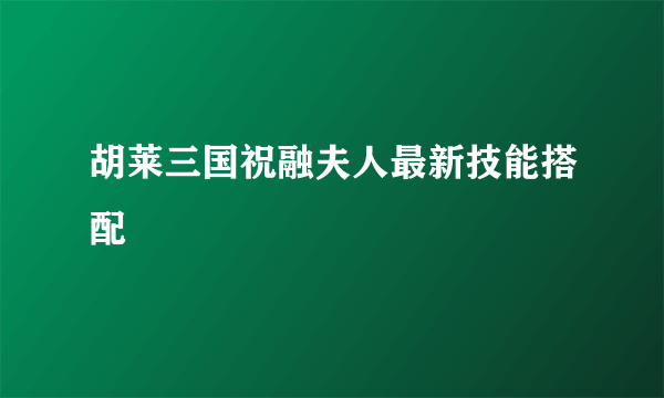 胡莱三国祝融夫人最新技能搭配