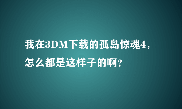 我在3DM下载的孤岛惊魂4，怎么都是这样子的啊？