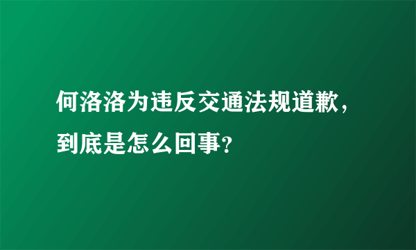 何洛洛为违反交通法规道歉，到底是怎么回事？