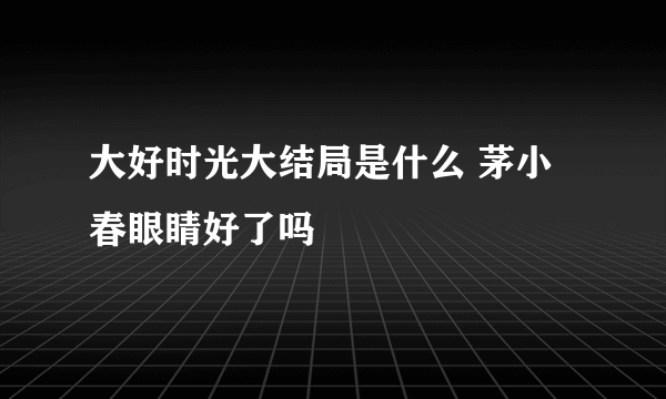 大好时光大结局是什么 茅小春眼睛好了吗