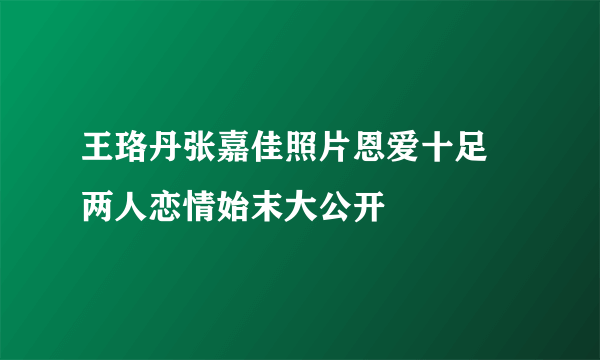 王珞丹张嘉佳照片恩爱十足 两人恋情始末大公开